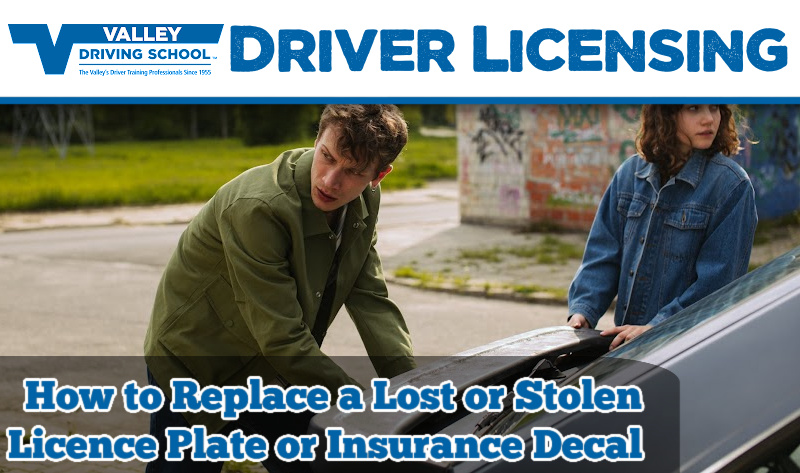 How to Replace a Lost or Stolen Licence Plate or Insurance Decal Valley Driving School