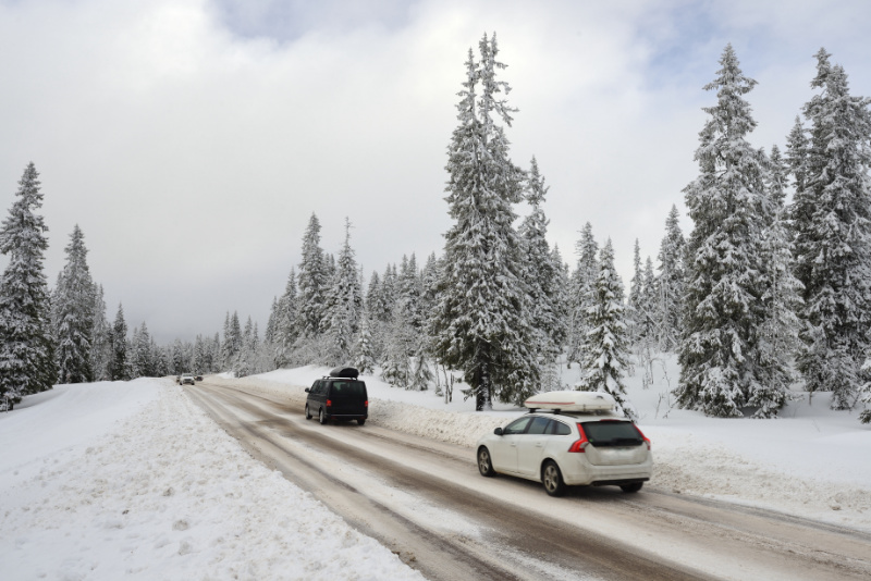 A white station wagon and a dark van, both equipped with roof boxes, drive along a slushy road lined with snow-covered evergreen trees.