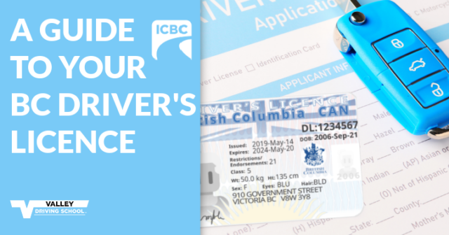 BC Driver’s Licence Guide: GLP Steps | Valley Driving School