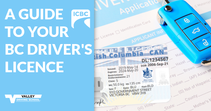 A Guide to Your BC Drivers Licence blog header
