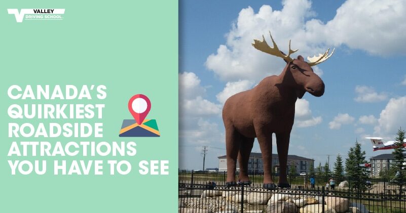 Blog Post The Quirkiest Roadside Attractions Youve Never Seen Website