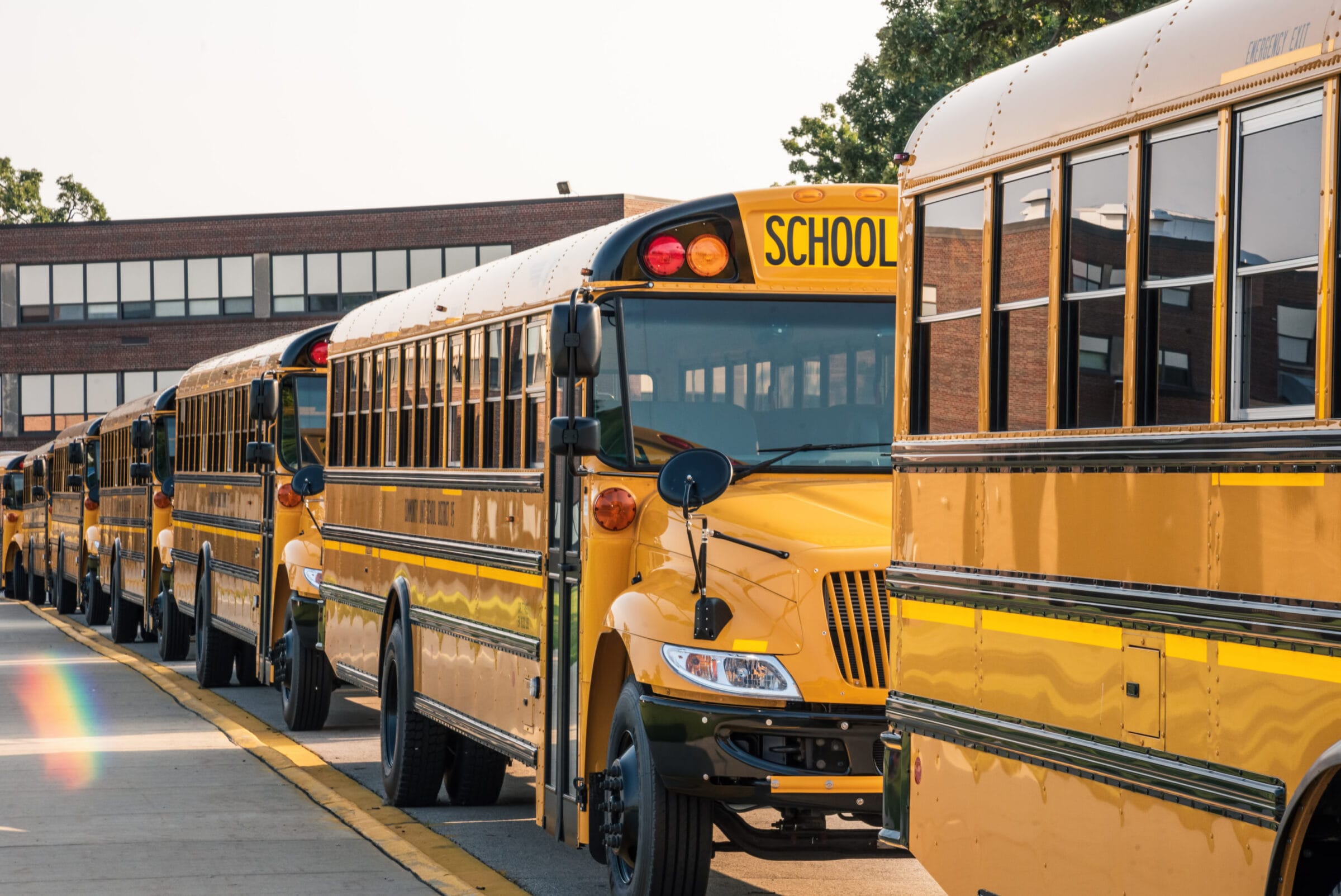 Yellow buses lined up in front of school ready for first day