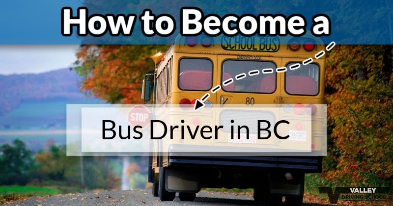 Blog How To Become A Bus Driver In BC header