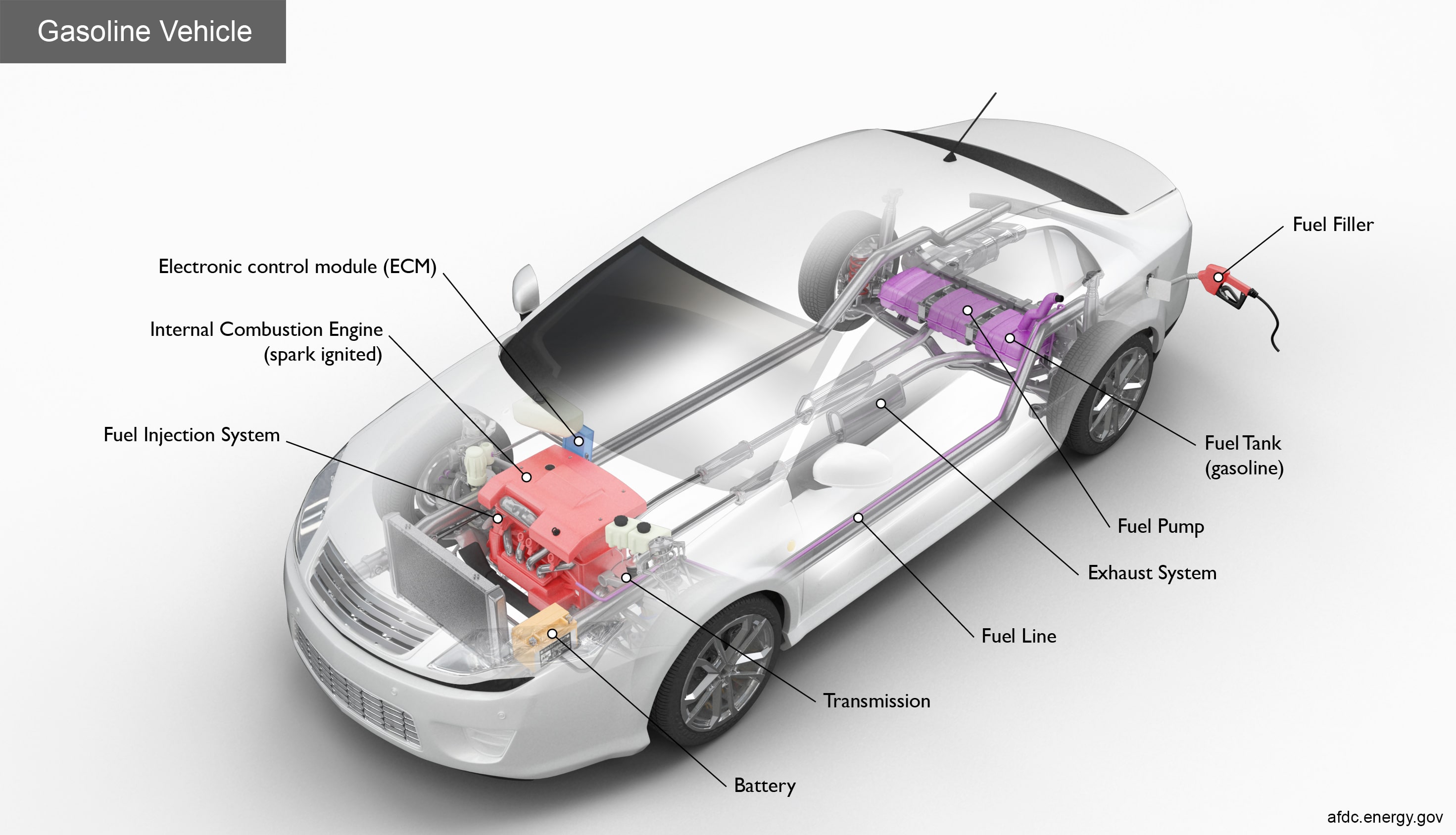 A diagram of a gasoline vehicle's internal components, highlighting parts such as the internal combustion engine, fuel tank, and exhaust system.