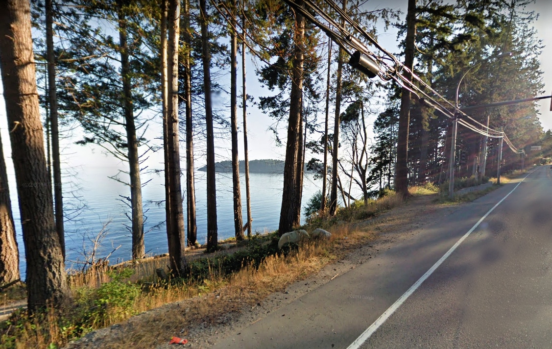 A paved two-lane road winding alongside a body of water, separated by a line of tall evergreen trees. Vancouver Island, BC.