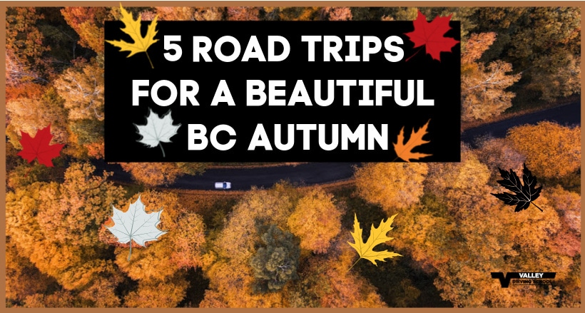 Blog Top5AutumnRoadTripsFinal