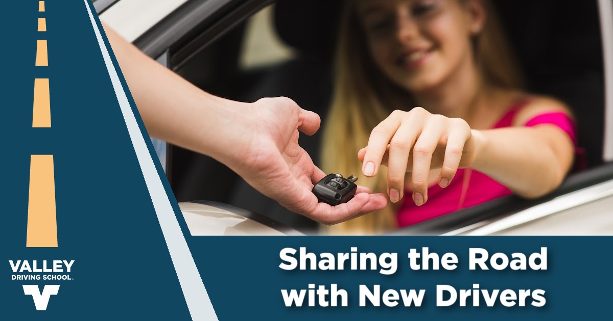 Blog Sharing the Road with New Drivers header