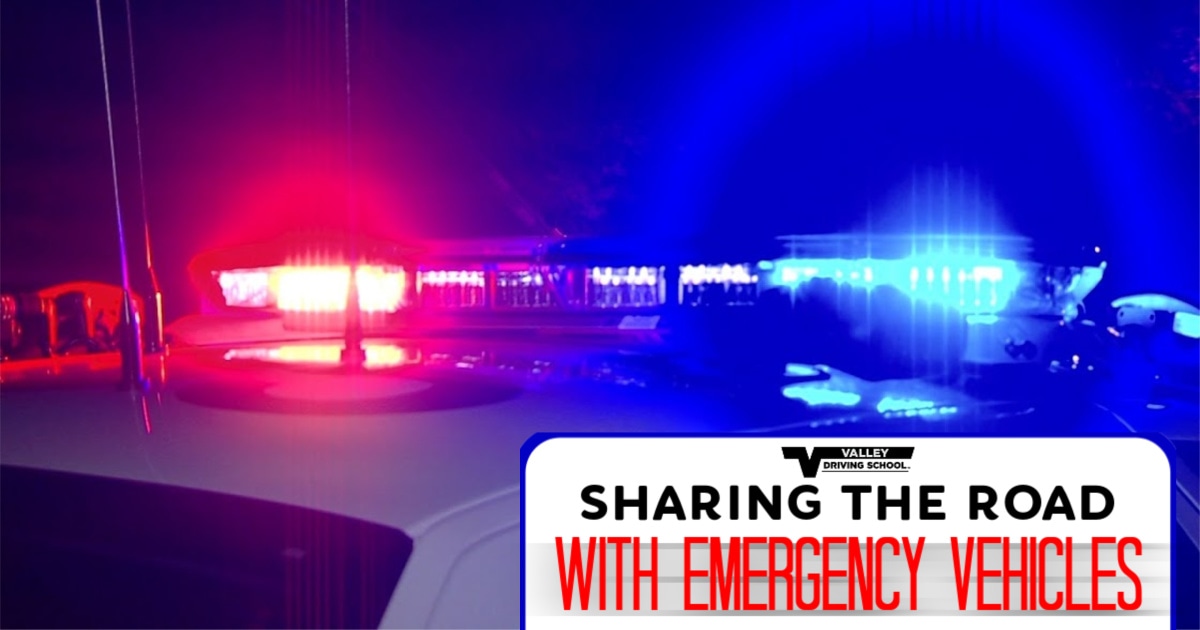 Sharing the Road Emergency