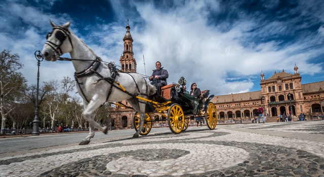 Sevilla horse spain tourism