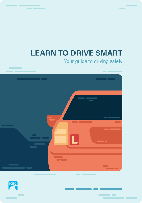 LTDS Manual