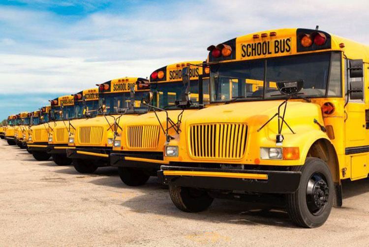 A row of yellow school buses parked in a lot, representing Class 2 driver training and commercial licensing for bus drivers in British Columbia.