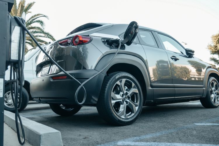 A dark grey SUV (a Tesla Model X) parked and plugged in, set against a background of green trees and blue sky.