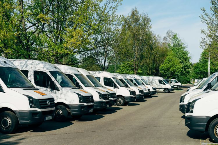 A row of white passenger vans parked in a lot outside with trees and a green building in the background.